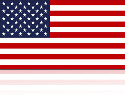 Flag USA1