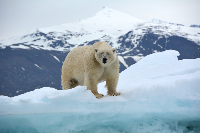 Greenland