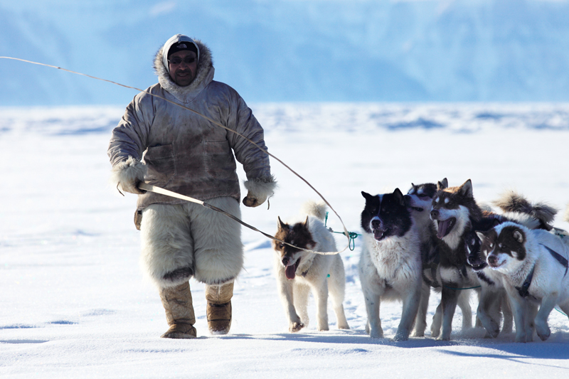 Polar Bear Range States - Greenland