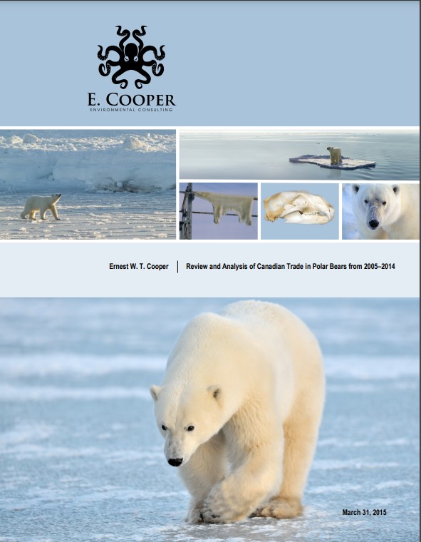 E Copper Review and Analysis of Canadian Trade in Polar Bears from 2005 2014 final draft for distribution May 8 1