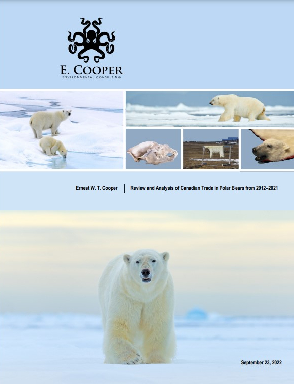 E Copper Review and Analysis of Canadian Trade in Polar Bears from 2012-2021
