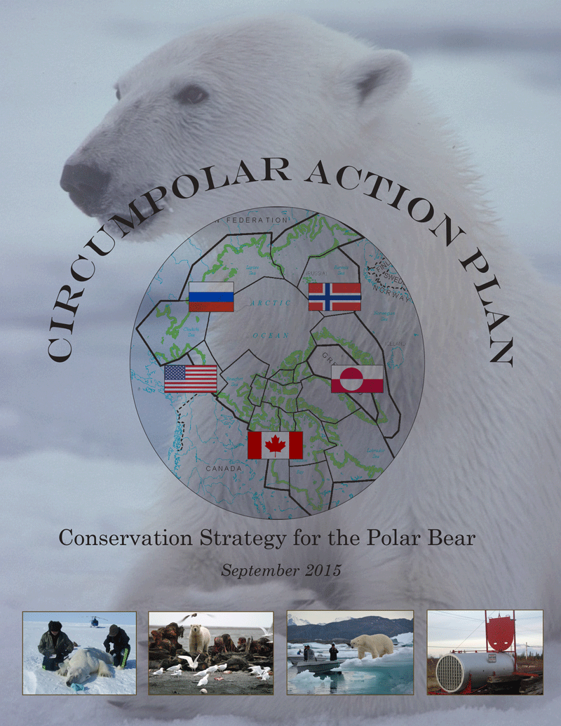 Circumpolar Action Plan